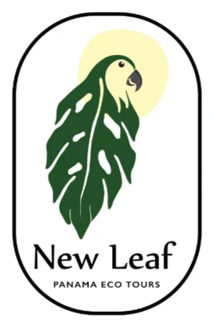 New Leaf Panama Tours
